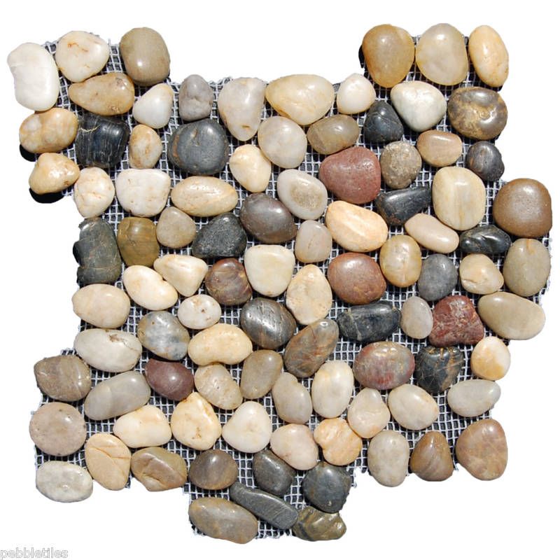 Polished Cobblestone Pebble Tile  