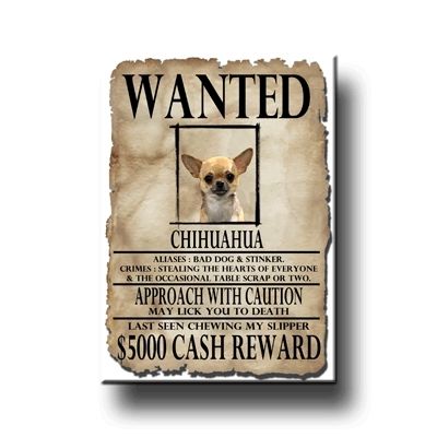 CHIHUAHUA Wanted Poster FRIDGE MAGNET No 1 DOG Funny  